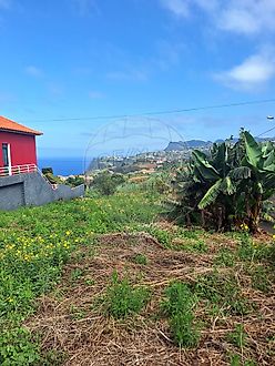 Land for sale in Nisa, Portugal — €72,500