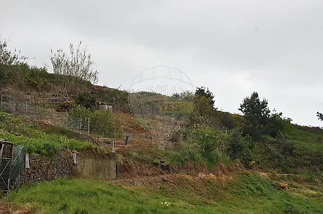 image-23DugoZl9vb-0