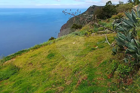 image-23VNZ1sqmDf-0