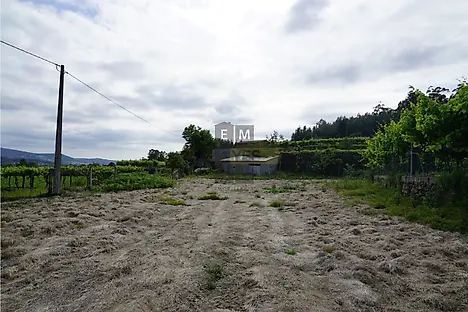 Land for sale in Vale de Cambra, Portugal — €60,000