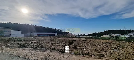 image-1oP3R3kytKa-0