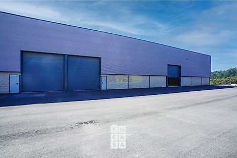 image-3kSriuxVSO9-0