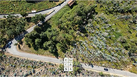Land for sale in Albergaria-a-Velha, Portugal — €85,000