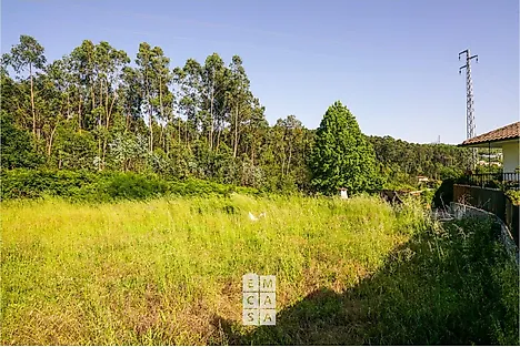 Land for sale in Oliveira de Azeméis, Portugal — €55,000