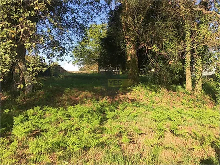 Land for sale in Oliveira de Azeméis, Portugal — €55,000