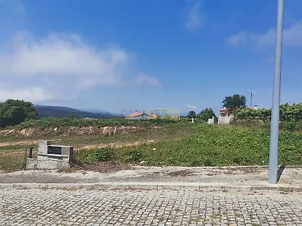 image-LUDcAD3VHaA-0
