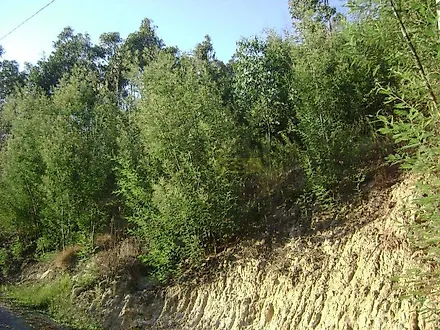 image-4uBExscf11E-0