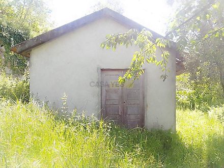image-5erqKoLxyZ5-0