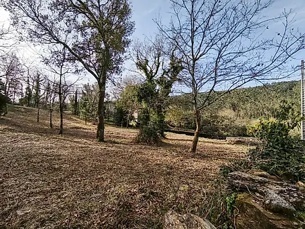 image-5htKrjaNKLi-0