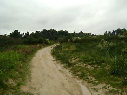 image-5s1AbnLQOzJ-0