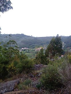 image-6jqQRrpznZ9-0