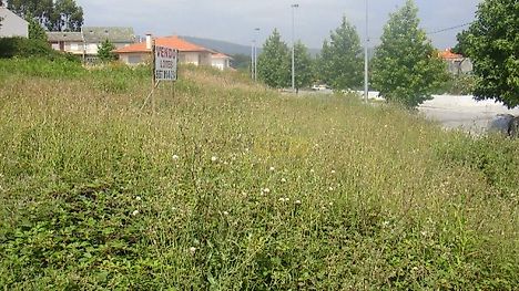 image-7mPMXmhg4nH-0