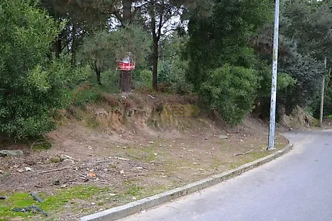 Terreno em Tarouca