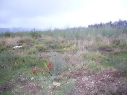 image-8sq3vXH0xeH-0