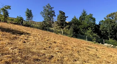 image-9eRziyHZLu7-0