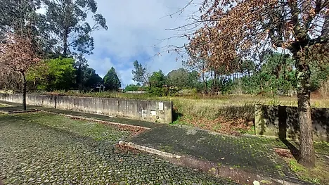 image-B96haWc7HWT-0