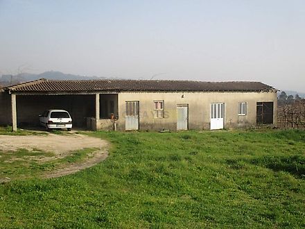 image-CvWyDRgM9m-0