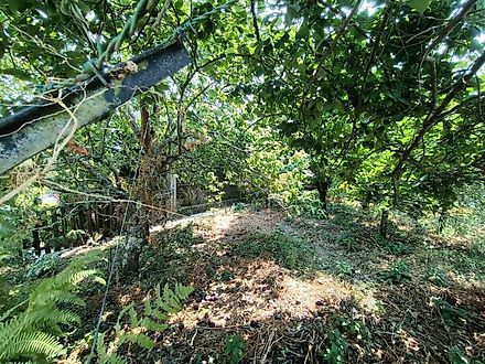 Land for sale in Esposende, Portugal — €100,000