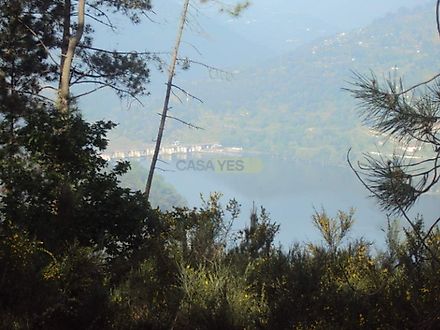 image-GLnekYjsoXC-0