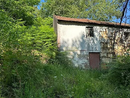image-IjcvnHa5ErZ-0