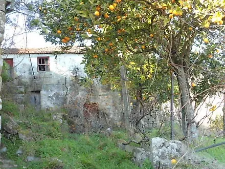 image-KVJMEgGCDWI-0