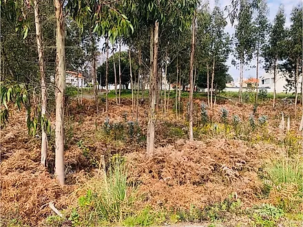 Land for sale in Espinho, Portugal — €225,000