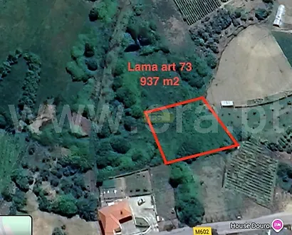 image-JytuR6Eq8VO-0
