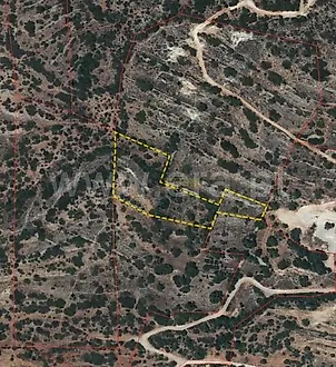 listing-1tErLDwxPek