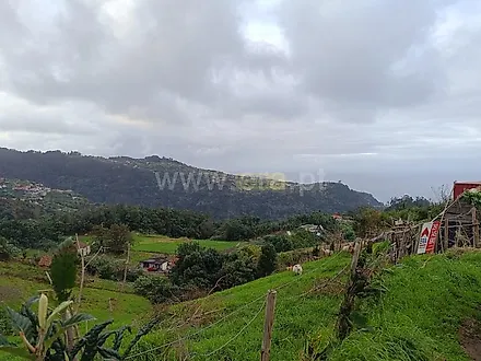 image-LWJz1UbH942-0