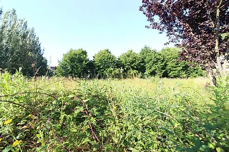 image-ECAsDMzUBpf-0