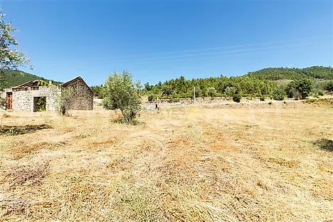 image-4hYCZHb2vwy-0