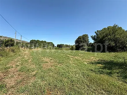 image-LBudis8b5zo-0