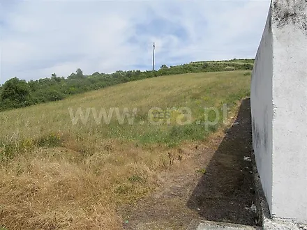 image-EBhliYYE66f-0