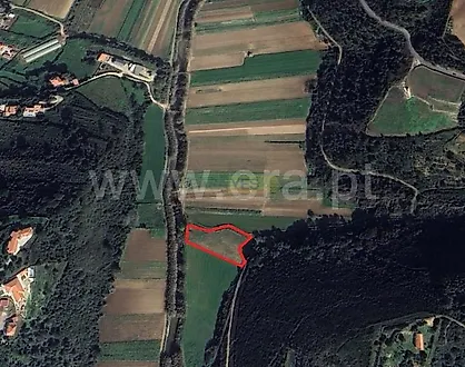 image-Hjlv86RdvWF-0