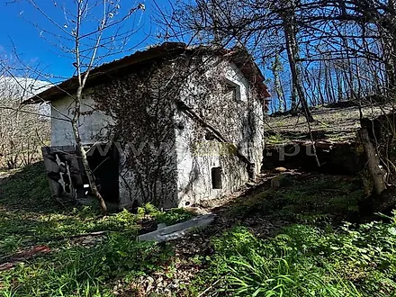 image-ANqsFyv20Qx-0