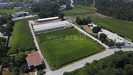 image-HbPehIFaLur-0