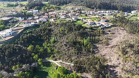 image-EWDF5Ac8hHZ-0