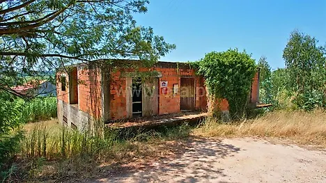 image-82HJcuhNpgs-0