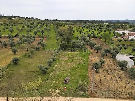 image-EjcpfRAXb1i-0