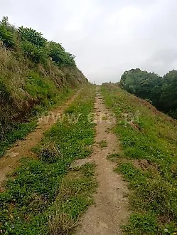 image-KfMbwGOigYY-0
