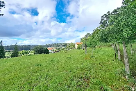 Land for sale in Ponte de Lima, Portugal — €63,000