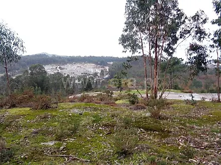 image-1aNZmqq671H-0