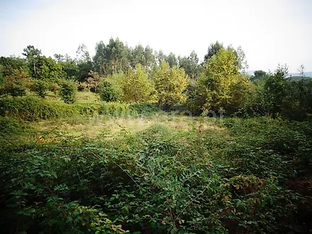image-2VLxKttk206-0