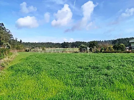 image-5NZClnNKldl-0