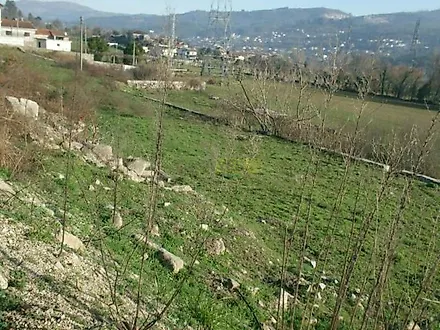 image-AbrCh9IKGea-0