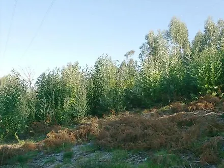 image-BB5xqIANSui-0