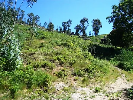 image-Hd2sIGOBjNo-0