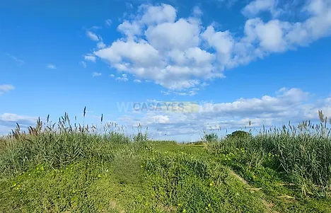 image-WgevNJoQR9-0