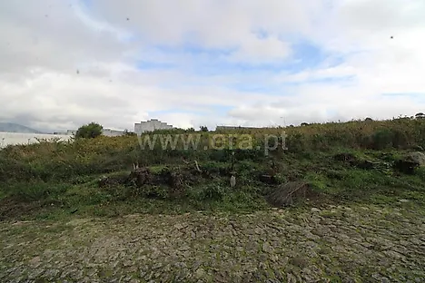 image-COkQm02vWR4-0