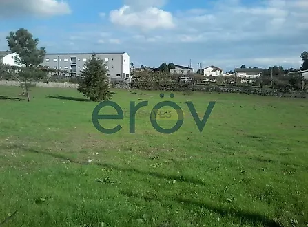 image-2Xn17gZWIcU-0